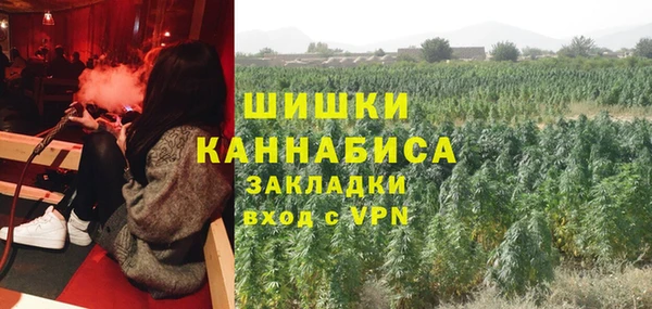 экстази Каменногорск