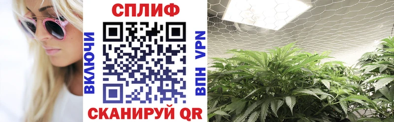 Канабис семена  Купить  Кремёнки 